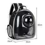 Transparent Pet Backpack Carrier