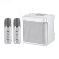 Speaker Karaoke Machine with Dual Wireless Microphones