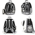 Transparent Pet Backpack Carrier