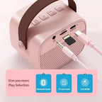 Speaker Bluetooth Karaoke Machine with Portable Dual Microphones