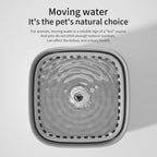 Cat Water Fountain Automatic Filter Dispenser