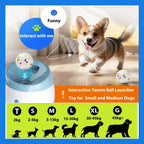 Automatic Dog Ball Launcher Interactive Machine