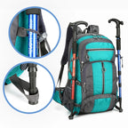 Hiking Backpack 50L