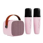 Speaker Bluetooth Karaoke Machine with Portable Dual Microphones