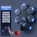 Boxing Machine Wall Mounted Home Gym