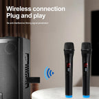 Wireless Microphone Dual Channel Handheld VHF System