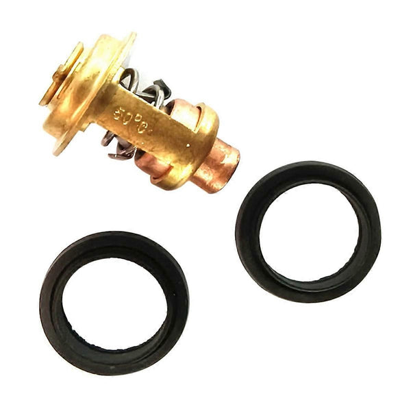 5005440 Brass Thermostat & Seal Kit Compatible - Red Color