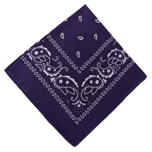 22 inch Cotton Paisley Bandana Multi Colored Set Cowboy Bandana Head Scarf Double-sided for Men & Women Multicolor