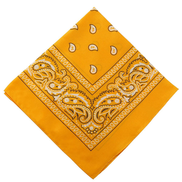 22 inch Cotton Paisley Bandana Multi Colored Set Cowboy Bandana Head Scarf Double-sided for Men & Women Orange
