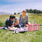 Large Picnic Basket Shopping Basket Camping Picnic Basket Travel Picnic Bag Portable Bento Bag Thermal Insulation Bag Red