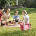 Large Picnic Basket Shopping Basket Camping Picnic Basket Travel Picnic Bag Portable Bento Bag Thermal Insulation Bag Red