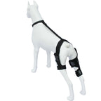 Dog Knee Brace Dog Brace Hind Leg Dog Knee Brace with Extra Collar and Support Treats Kneecap Dislocation Arthritis（S）