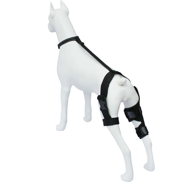 Dog Knee Brace with Harness Support