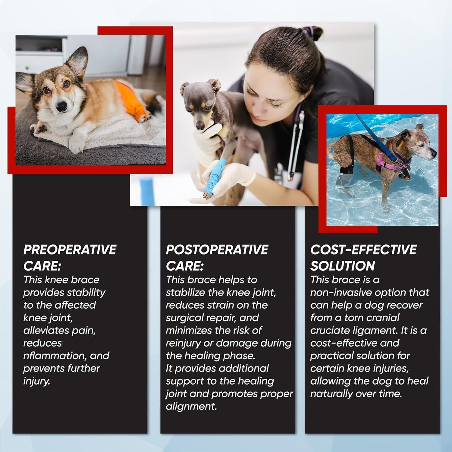 Dog Knee Brace Dog Brace Hind Leg Dog Knee Brace with Extra Collar and Support Treats Kneecap Dislocation Arthritis（S）