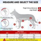 Dog Knee Brace Dog Brace Hind Leg Dog Knee Brace with Extra Collar and Support Treats Kneecap Dislocation Arthritis（S）