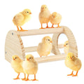 Large Wood Pine Chick Perch, Wooden Perch Chicks Toys for Coop and Brooder, Strong Chicken Jungle Gym Roosting Bar for Baby Chicks with a mirror