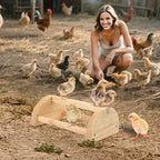 Large Wood Pine Chick Perch, Wooden Perch Chicks Toys for Coop and Brooder, Strong Chicken Jungle Gym Roosting Bar for Baby Chicks with a mirror