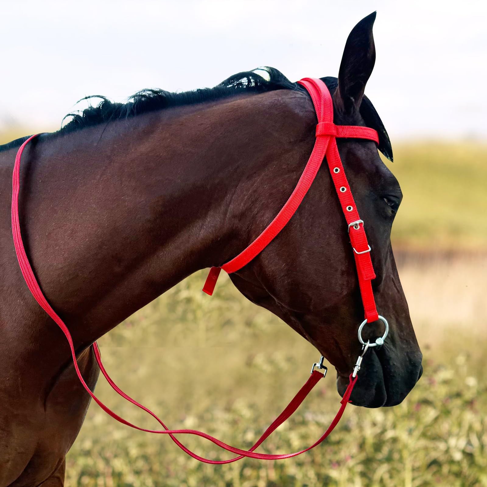 MPitcher head, horse riding, water reins, reins, sizes, pony reins, water reins, reins, equestrian supplies（Red small size below 1.3m）