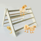 Sturdy Metal and Wooden Baby Chicks Roosting Bars, Easy to Assemble & Clean Stand Ladder Fun Toys for Coop Accessories