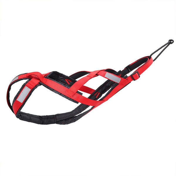 Sled Dog Mushing Harness with Shock-Absorbing Leash