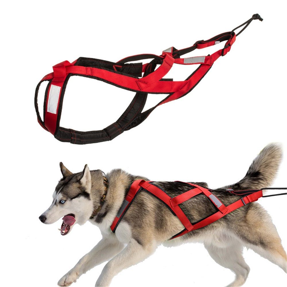 Sled Dog Harness - Large Dog Mushing Harness for Husky, Canicross, Skijoring & Scootering - Design (red,M)