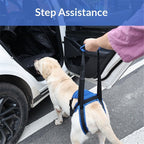 Dog Lift Harness, Dog Sling for Large Dogs Hind Leg Support, Adjustable Soft Padded Rehab Harness for Weak Rear Legs Elderly Injured Disabled Arthritic Dogs（M）