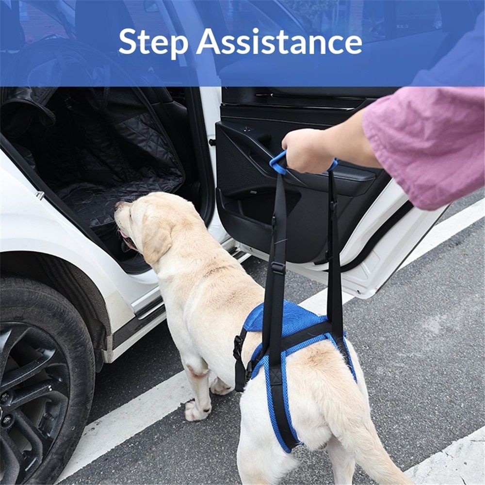 Dog Lift Harness, Dog Sling for Large Dogs Hind Leg Support, Adjustable Soft Padded Rehab Harness for Weak Rear Legs Elderly Injured Disabled Arthritic Dogs（M）