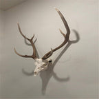 2 pack The No Show Whitetail Deer Skull Mount Hanger - No Show Design - Quickest Install - Hog Antelope Coyote bobcat Axis Small Game