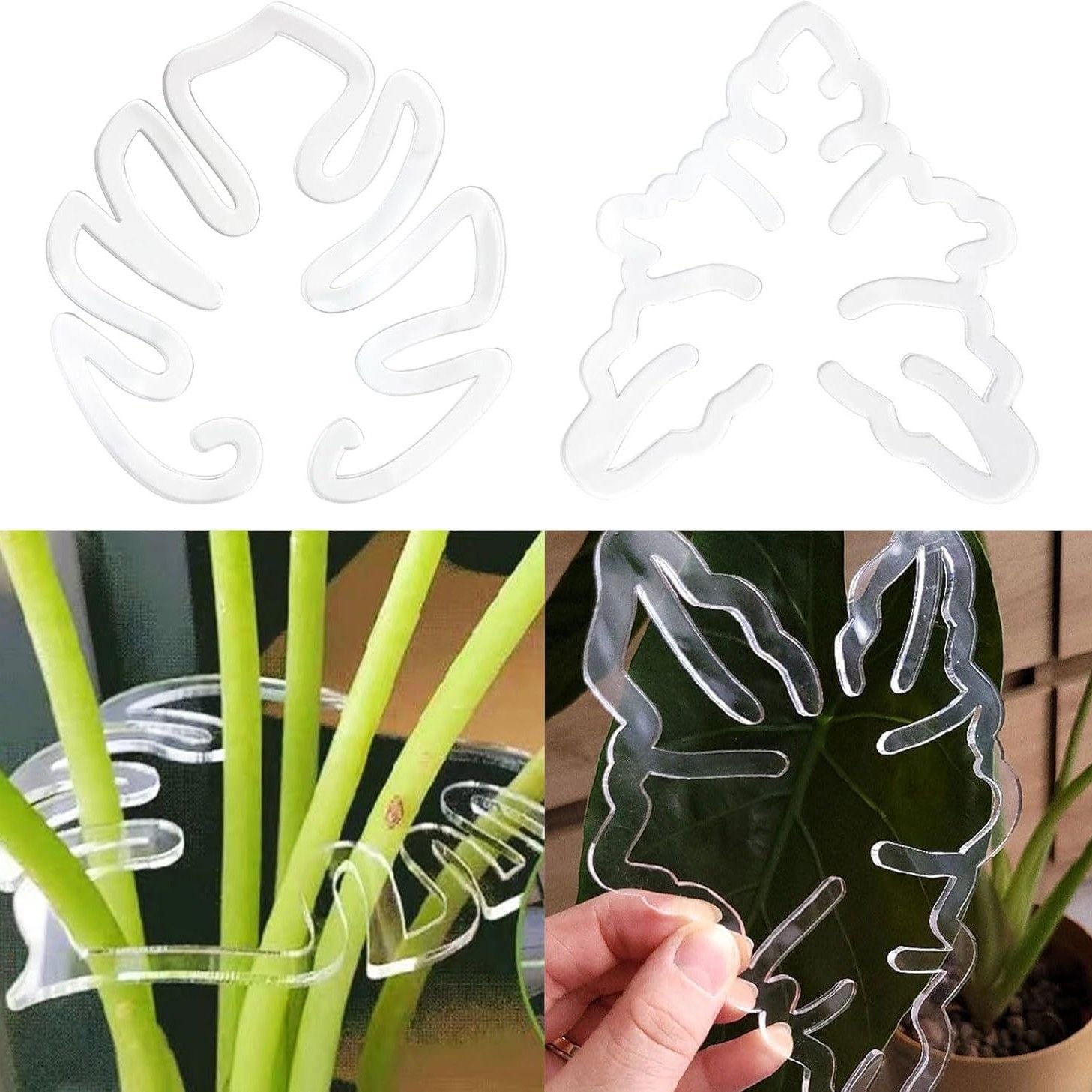 4 pcs Turtle Shell Bamboo Clamp Set - Reusable Clear Plastic Stem Support for Outdoor & Indoor Plants. Ideal for retaining Stems of Flowers, Herbs, and Vegetables