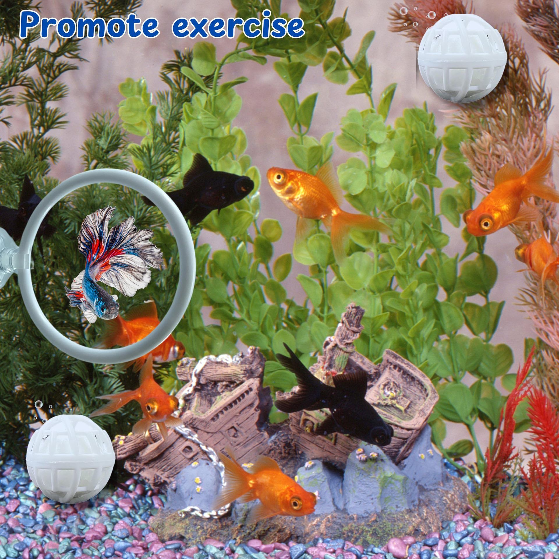 2 set Enrichment Toys with Filter Ball set, Turtle Water Cleaner Ball, Aquarium Feeding Ring with Balls, Betta Fish Toy, Aquatic Turtle Enrichment Toy, Tortoise Supplies (729mm)