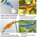 50 Pcs Plant Stem Trainer Low Stress Training Clips Stem Bender Clips for Climbing Adjustable Bud Clips Plant Bender Plant Training Clips Plant Root Bender for Gardening（blue）