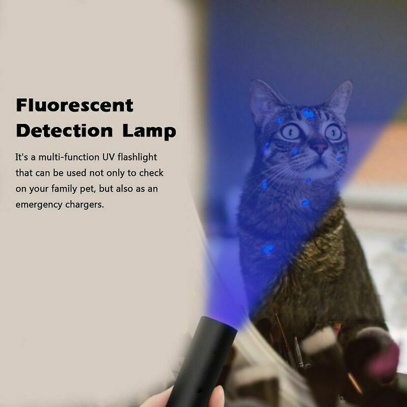 Lamp of Ringworm Uv 365nm of Test of Fungus of Charge Usb Uv of Pocket Detection of Fluorescence of