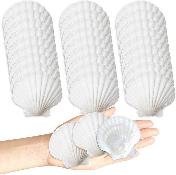 30Pcs Seashells for Crafts,Scallop Shells for Beach Decoration,2-3In Seashells for DIY Craft Painting，White Sea Shells for Beaching Wedding,Party,Home Decoration