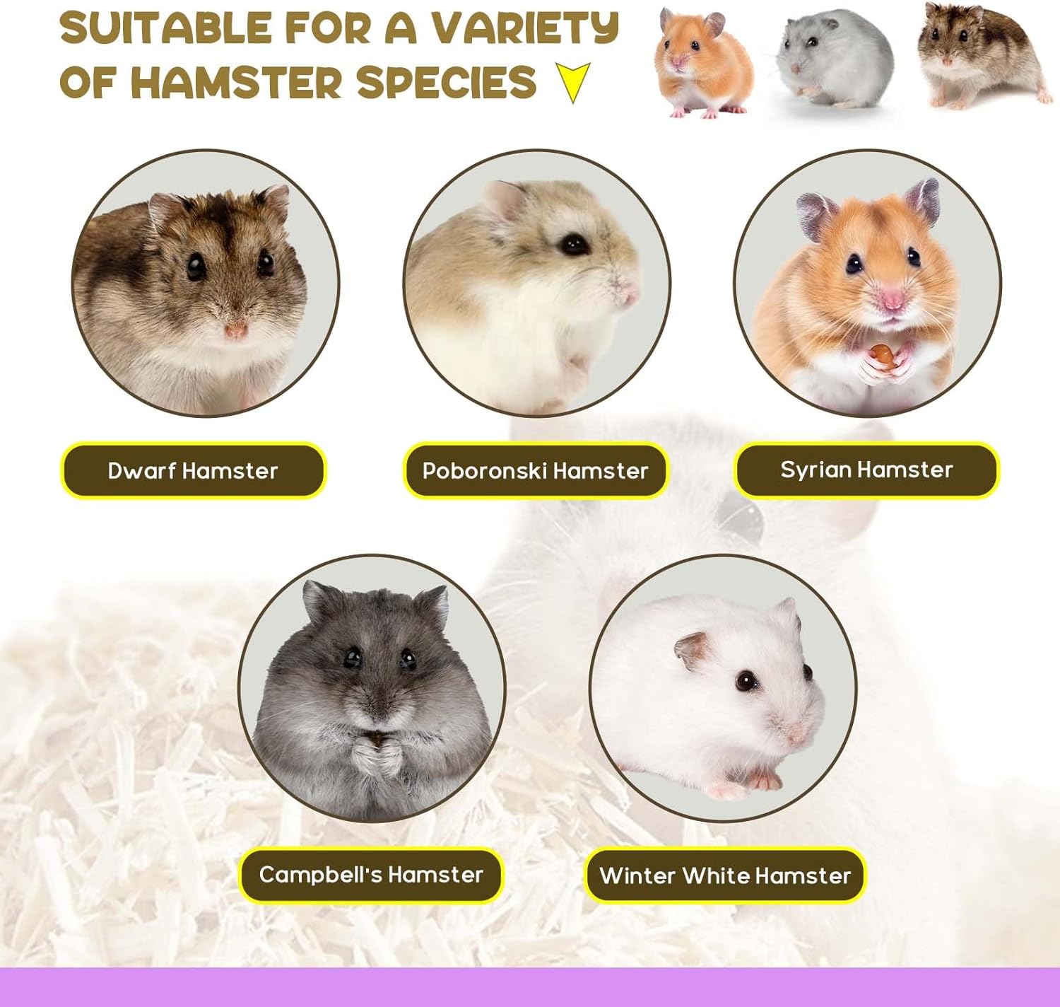 Hamster Hideout Climbing Ladder and Tunnel for Burying in Bedding or Connecting with Accessories