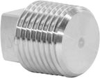 NPT Stainless Steel Boat Plugs
