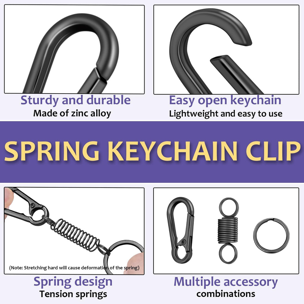 4Pack Small Carabiner Keychain, Spring Keyring Holder Organizer Clips, Metal Snap Hook Clip for Car Key Chain, Keyrings Holder, Purse Hook, Paracord Keychain Lanyard, Men and Women Key Fob (Black)