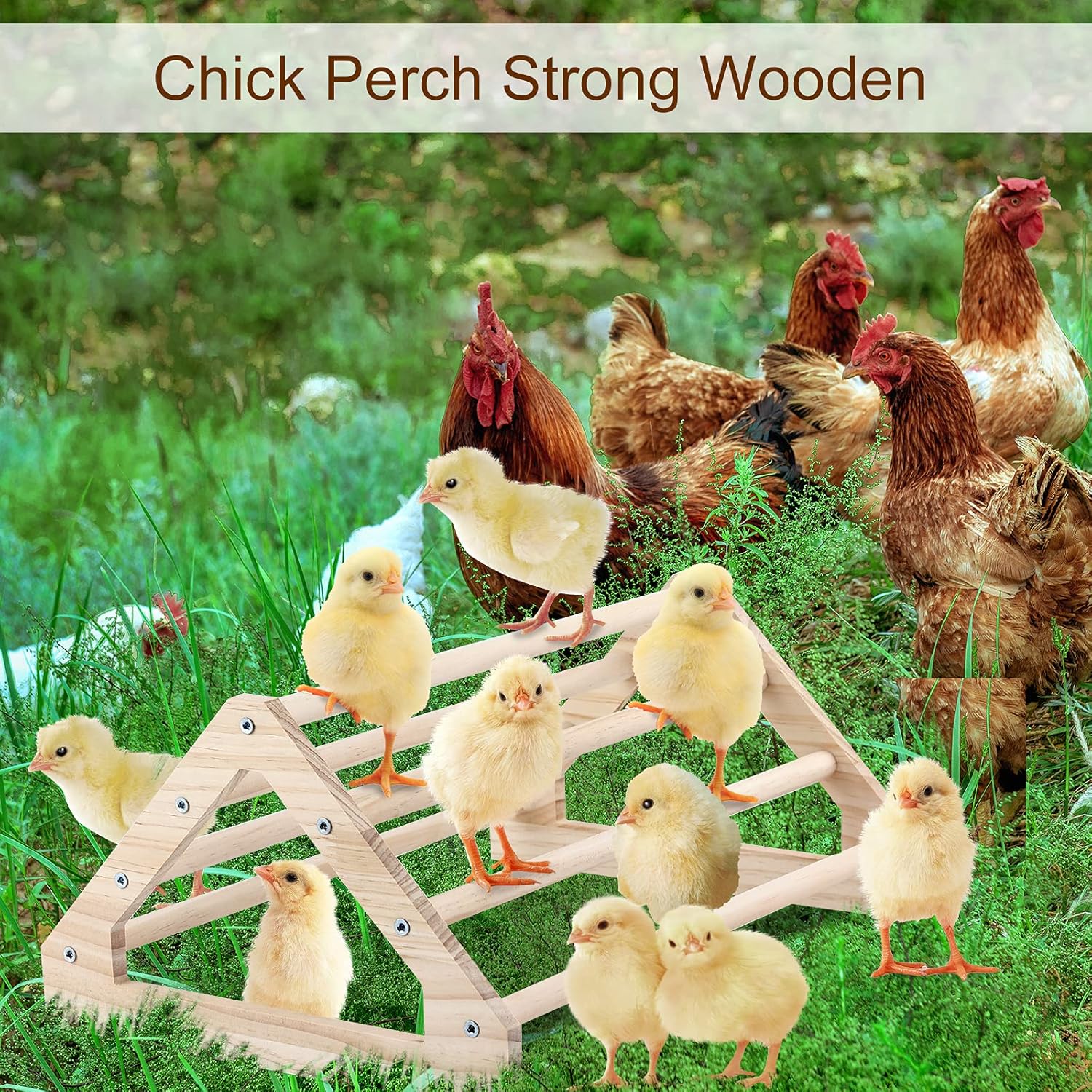 Wooden Chick Perch Stand, Pine Roosting Bar, Jungle Gym Perch Toys for Chicken Coop & Brooder, Bird Perch for Baby Chicks & Parrots (Large)