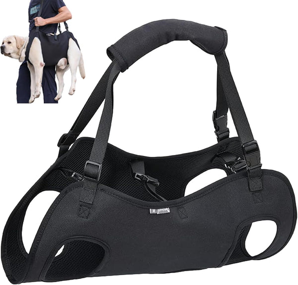 Dog Lifting Strap, Adjustable Sling for Elderly Dogs with Joint Injury and Arthritis, Dog Shoulder Strap for Dogs with Loss of Stability (M)