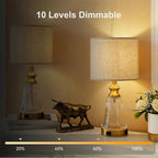 Rechargeable LED Bulbs with Remote E26 Battery Backup