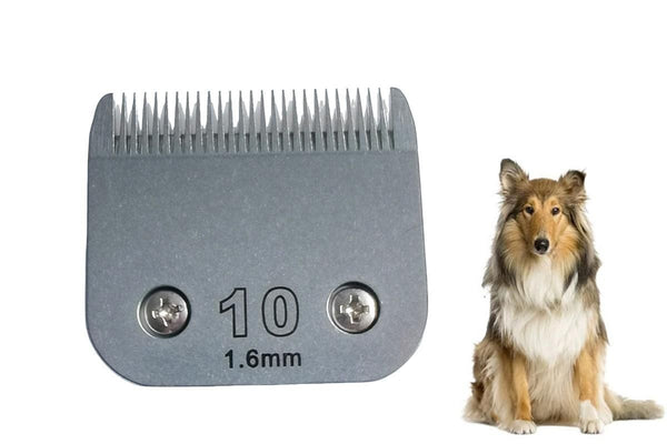 1.6mm Stainless Steel Universal A-Type Replacement
