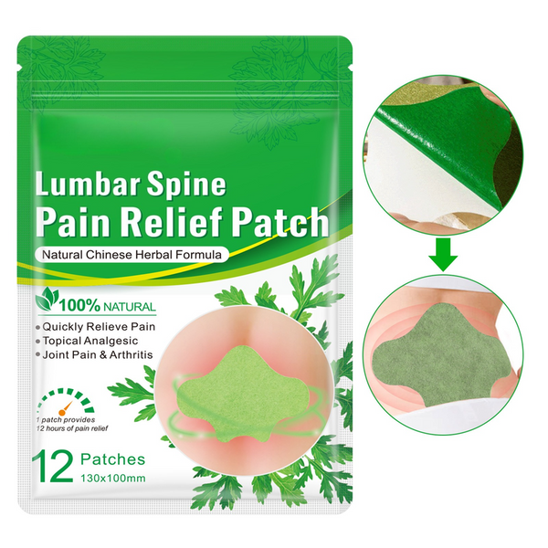 Herbal Mugwort Lumbar Patches (48 pcs/4 boxes)