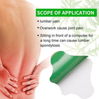 Herbal Mugwort Lumbar Patches: Warm Compress Patches for Lower Back Pain Caused by Muscle Strain or Prolonged Sitting (48 pcs/4 boxes)