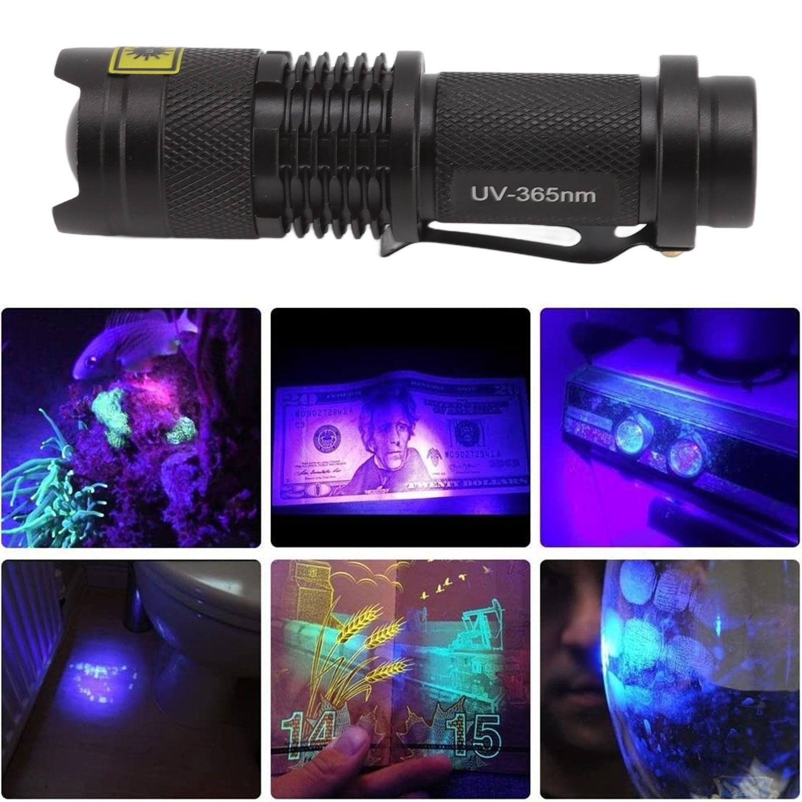 UV Flashlights Waterproof Battery Powered Impact Resistant Aluminum 365nm Ultraviolet Flashlight Cat Urine Detector Light
