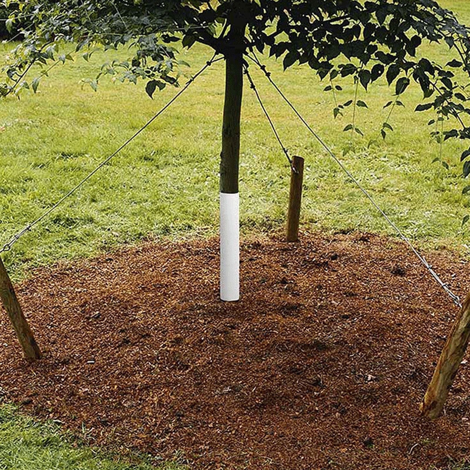 Tree Trunk Protector Plastic Tree Bark Protector Wrap Grow Tubes to Protect Saplings Plants From Deer Rabbit Cats Rodents Mowers 4Pcs