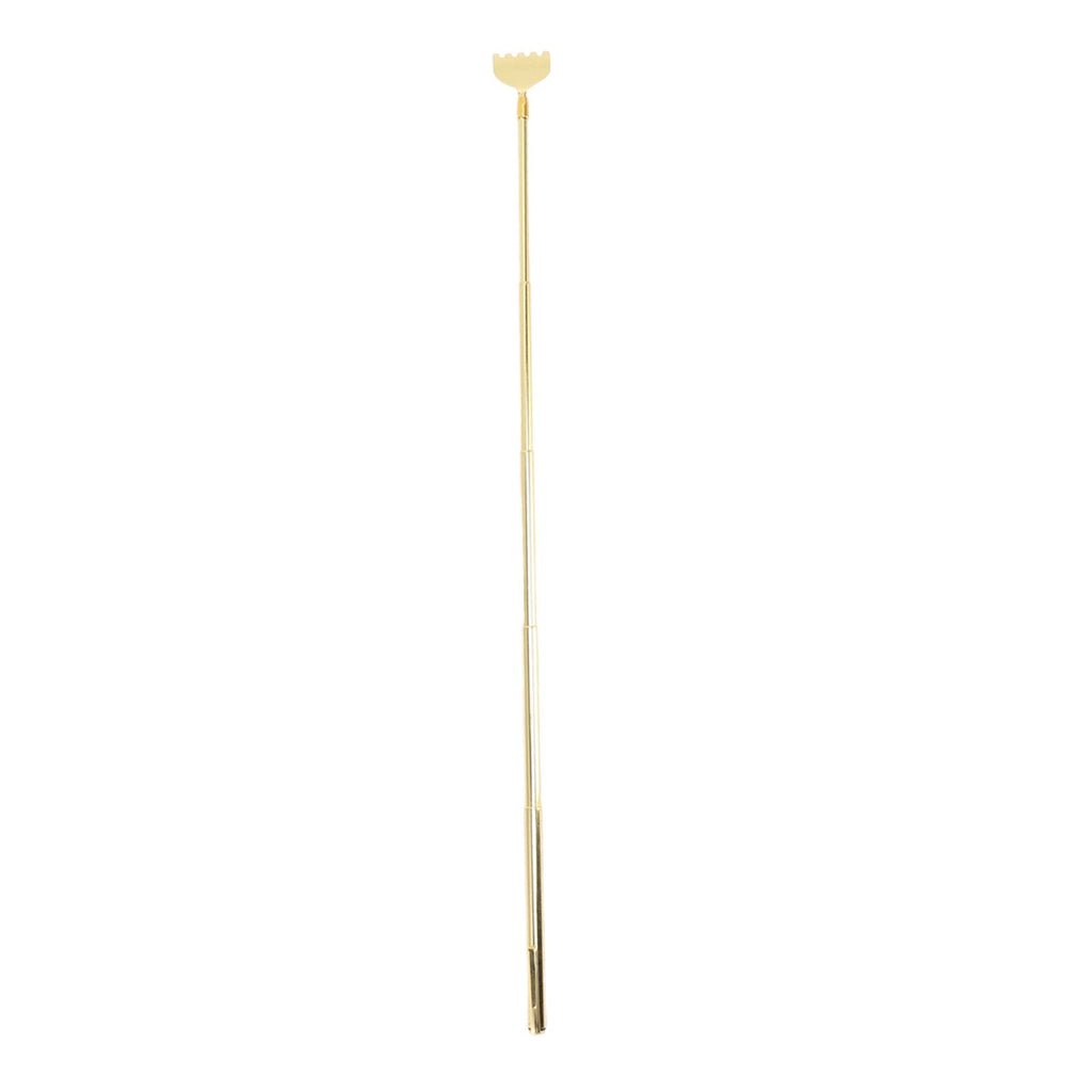 4PCS Extendable Back Scratcher Portable Stainless Steel Telescoping Back Scratcher for Massage