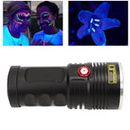 Black Light Flashlight Super Bright IPX45 Waterproof USB Rechargeable 365nm UV Flashlight for Cat Moss Money Detection