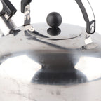 3L Stainless Steel Whistling Tea Kettle Fast Heating One Touch Buttons Whistling Kettle with Insulated Handle for Home