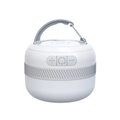Outdoor Camping Lantern with LED Rechargeable Light