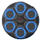 Best Smart Bluetooth Wall Mounted Boxing Machine | Buy Online at Furniture Things Australia