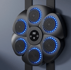 Best Boxing Trainer Interactive LED Music Reaction Wall Target with Gloves | Buy Online at Furniture Things Australia